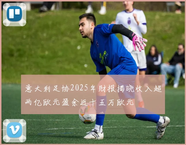 意大利足协2025年财报揭晓收入超两亿欧元盈余近十五万欧元