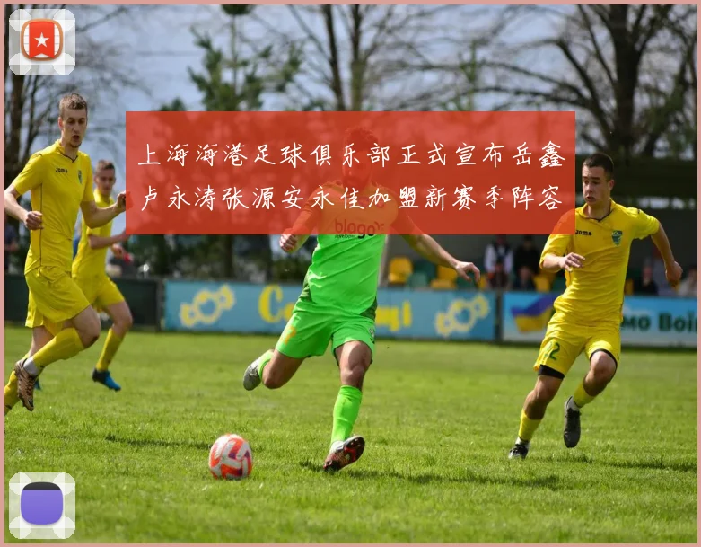 上海海港足球俱乐部正式宣布岳鑫卢永涛张源安永佳加盟新赛季阵容更新